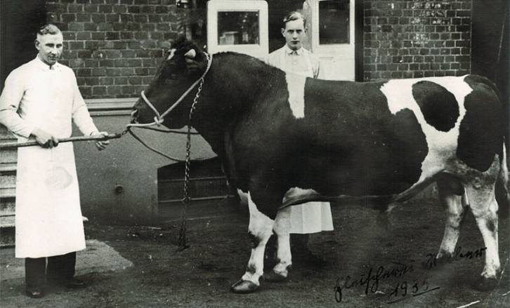 Die Fleischerei in 1935, Fleischerei Jörrihsen Hamm